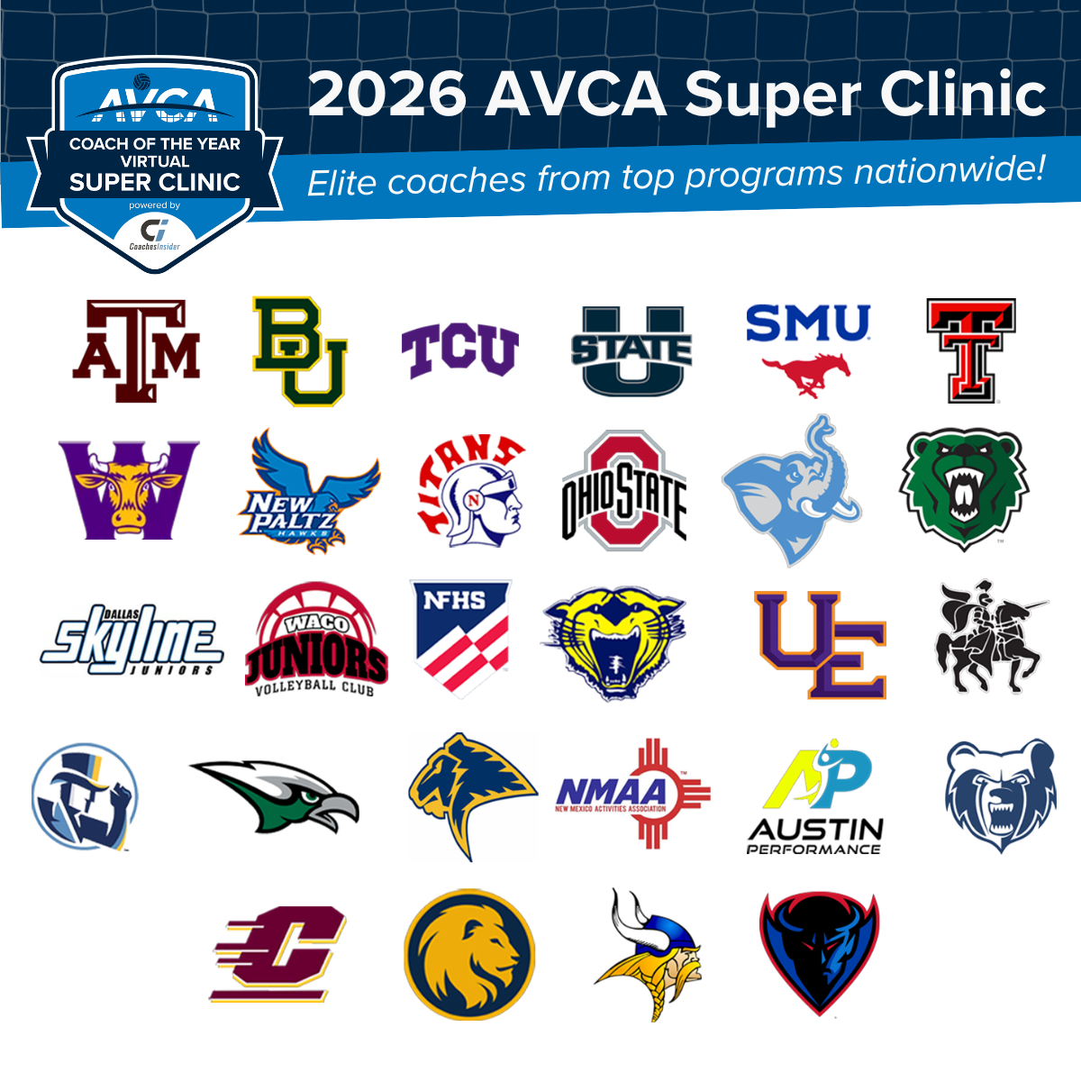 AVCA Super Clinic Logo Collage