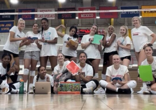 AVCA Team Academic
