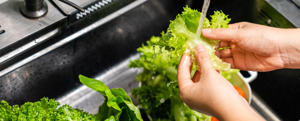 Hands washing lettuce in a sink.